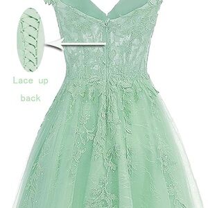 Women’s Lace Tulle Dress
